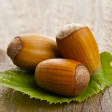 Фундук Косфорд