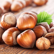 Фундук Барселонський