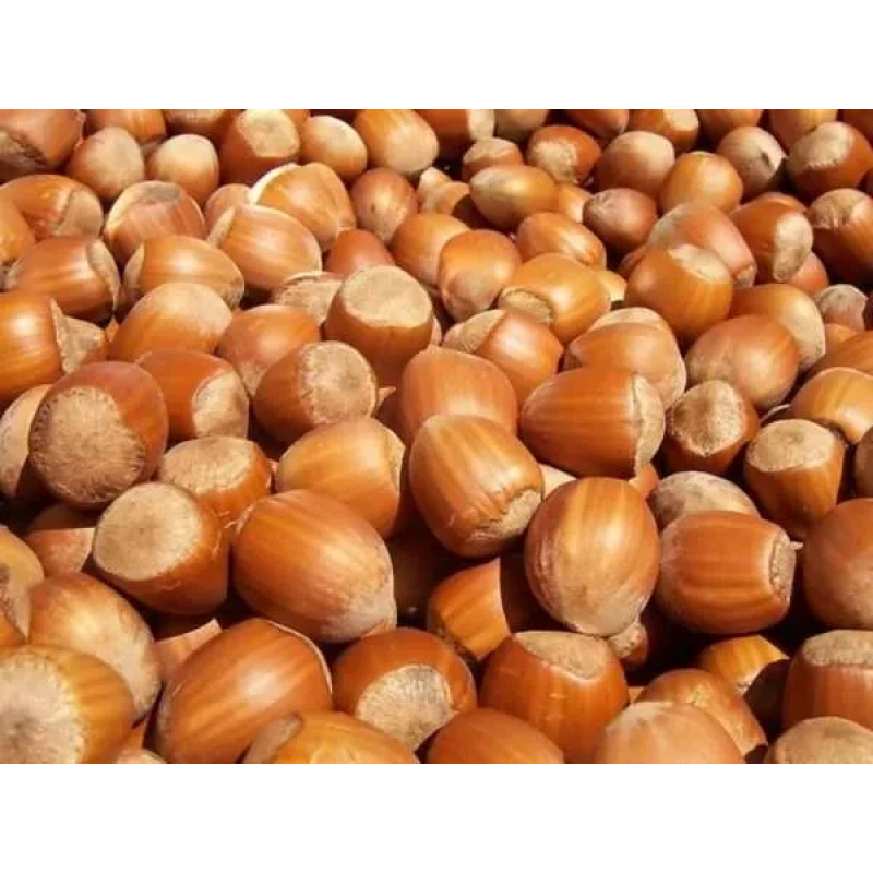 Фундук Бомба