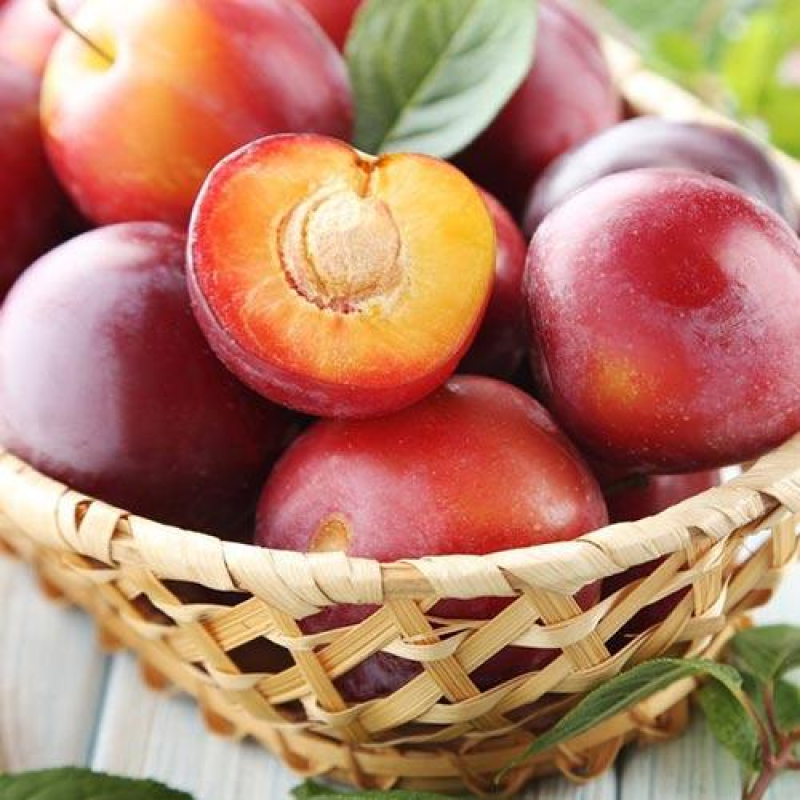 Алича Великоплідна