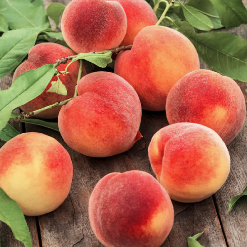 Персик колоновидний Штайнберг