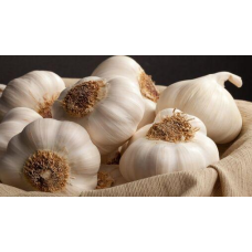 Часник озимий Сабаголд (Sabagold) 500гр